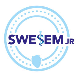 swesem_logo_2016